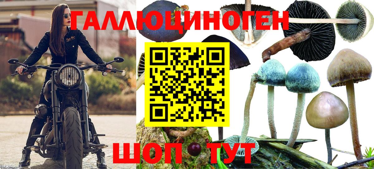 Галлюциногенные грибы прущие грибы Богданович