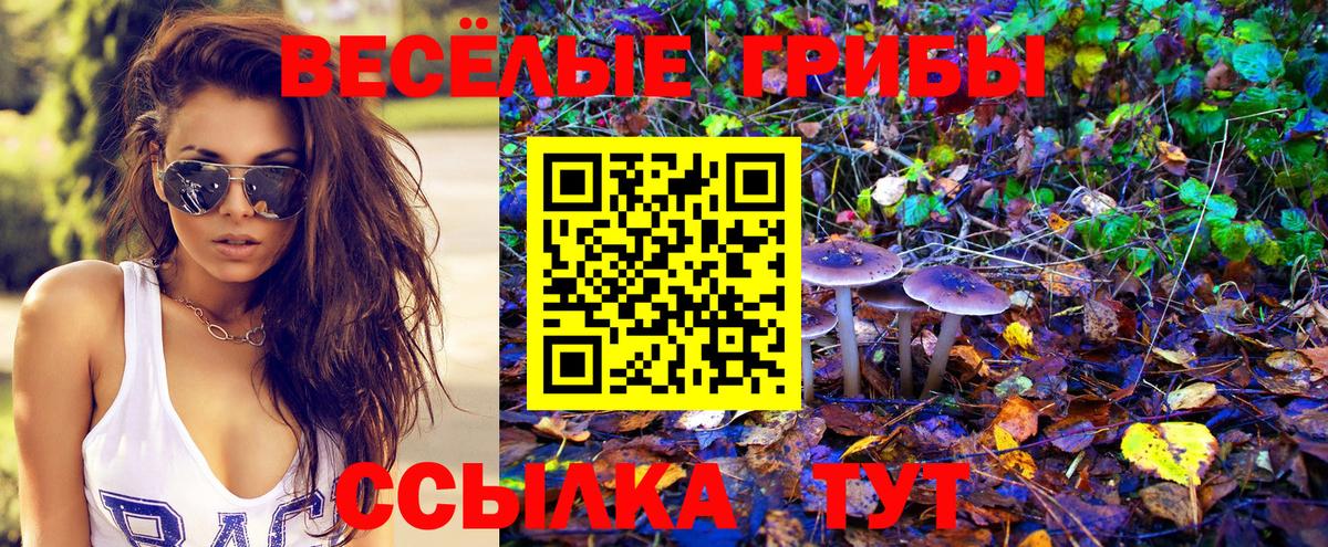 Галлюциногенные грибы мицелий  закладки  Богданович  Вход с VPN  Галлюциногенные грибы Psilocybine cubensis 