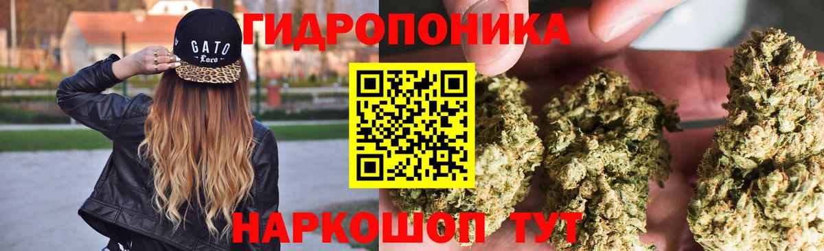 Конопля конопля  Вход с VPN  Бошки марихуана OG Kush  МАРИХУАНА White Widow  Богданович 